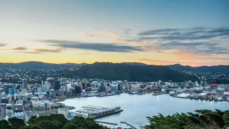 NZ's TIN200 top tech companies on a $12b winning streak