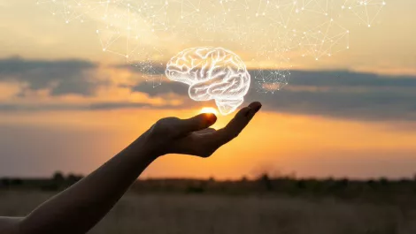 MacTel works with mental health not-for-profit Open Minds