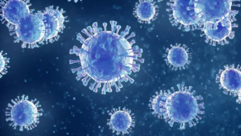 Cyber criminals exploiting coronavirus fears