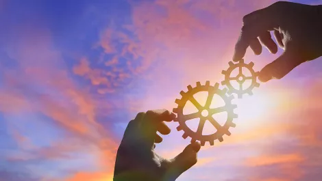 SAS enters partnership with Catapult BI to provide analytics across Australia
