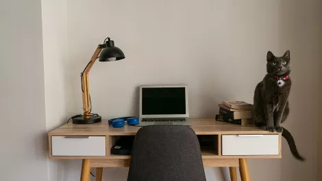Working from home? Accessorise your home office for efficiency