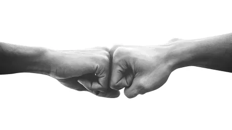 VEnterface Project forms new collaboration bonds between Australia & Singapore