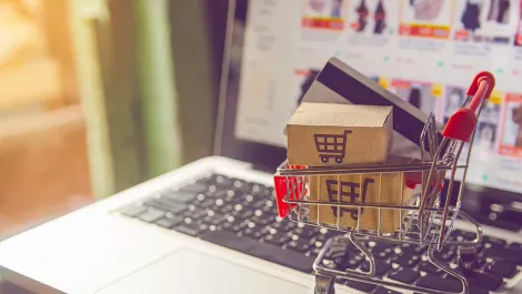 COVID-19 will transform online shopping for foreseeable future - report