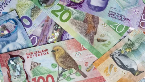 Google NZ reports revenue & profit spike