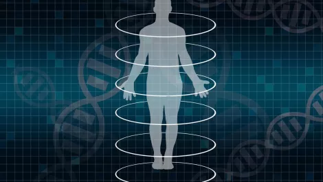MyFiziq takes majority stake in Body Composition Technologies