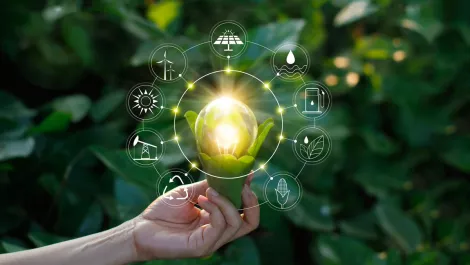 Eight Kiwi businesses named finalists of inaugural Spark 5G Starter Fund