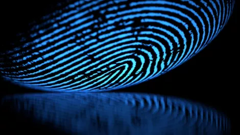 Petone identity management firm JNCTN partners with NEC NZ