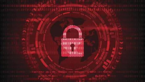 App security not keeping up with rapid development — Radware