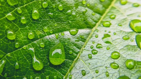 NEXTDC launches 'first of its kind' carbon neutrality program