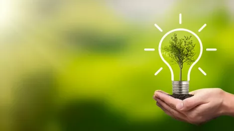 Greenwash, false claim risks high amongst IT - report