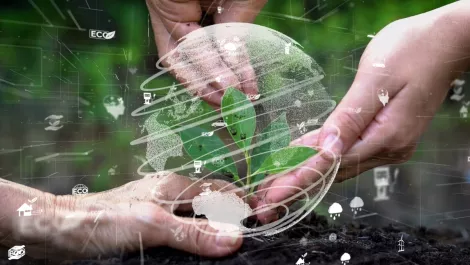 NZ organisations risk being left behind in Artificial Intelligence plans