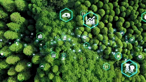 Sustainability improves profit for 44% of organisations