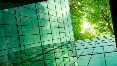 Sustainability improves bottom line for 44% of organisations