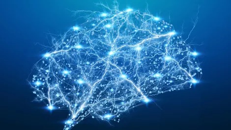 New AI-driven optimisation tech for deep neural networks