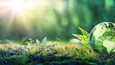 Sustainability tops executive agendas, APAC lagging behind