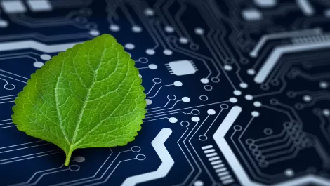 Avanade unveils new sustainability offerings for businesses