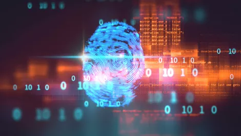 Microsoft Entra - the new branch for identity and access solutions