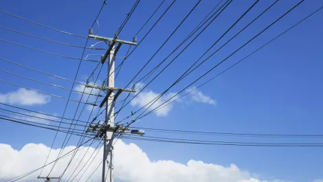 Canstar finds Flick Electric NZ's favourite provider