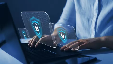 Ingram Micro launches vendor-backed security program
