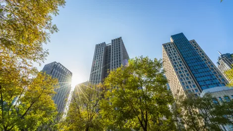Honeywell launches new carbon energy management software for buildings