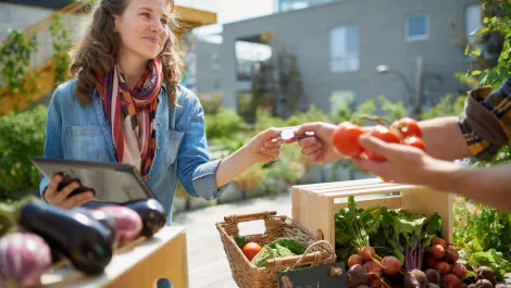 Ooooby: Hacking the food supply chain, Out Of Our Own Back Yards