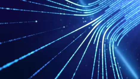 Federated change is the best path to digital evolution