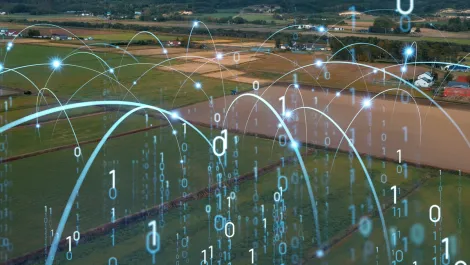 NZIER and Chorus find economic potential in rural connectivity