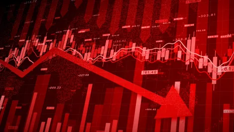 Xero reveals slowdown in Australian small businesses