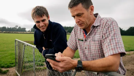 Answering to the hands-free farmer: How Farmlands pioneered Amazon Connect for Kiwi agritech