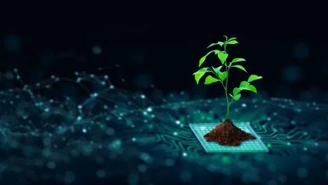 Going green: How the cloud can drive sustainability goals