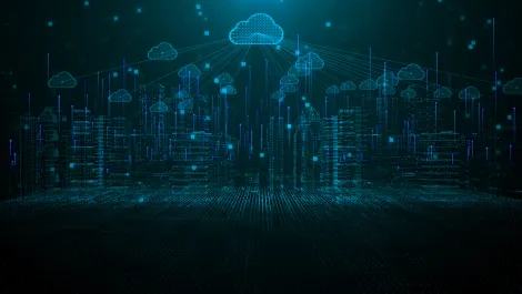Tech leaders increasingly influenced by environmental impact