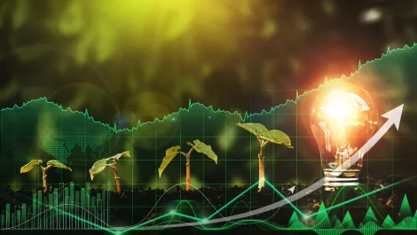 How to make networks greener for a sustainable future