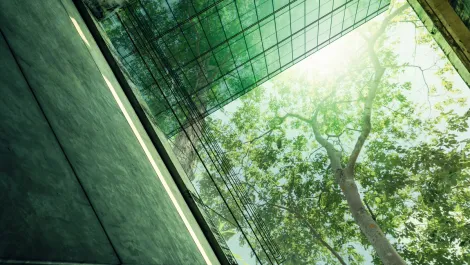Singapore, Thailand lead Asian markets in making ESG a top business priority