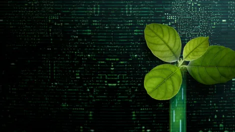 Digital Realty attains climate-neutral conformity certificate