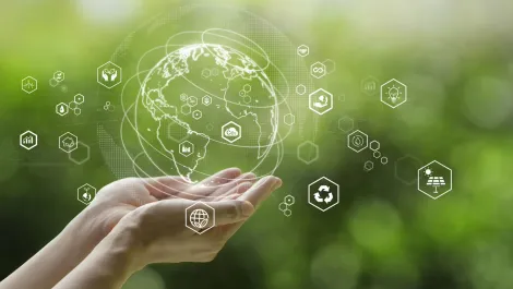 The five essential things to look for in a green partner