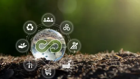Zolo launches partnership with Zip Co to reduce waste