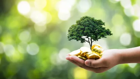 KnowBe4 makes donation to protect endangered species