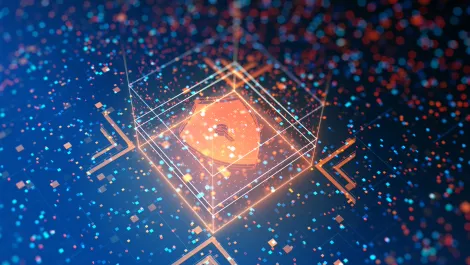 Radware solutions defend Israeli media website Rotter