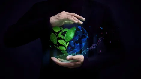 Redefining sustainability in the IT landscape: key considerations for future growth