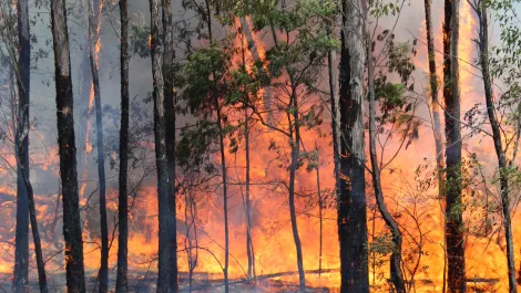 Government selects ICEYE to strengthen disaster response