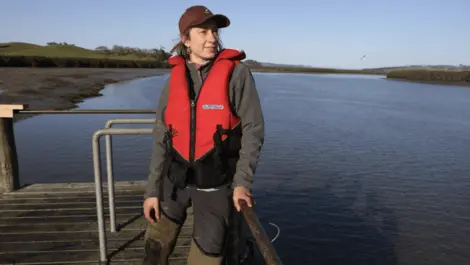 Tech aids research into Kaipara Moana ecological restoration
