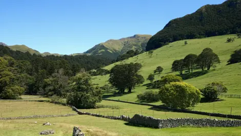 NZ sees major drop in insured catastrophe losses in 2024