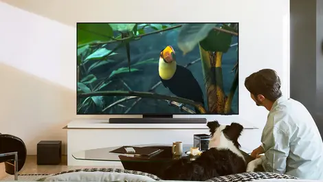 Samsung doubles OLED TV range in Australia for 2025 launch