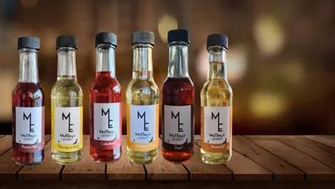 NZ firm eyes export boom with catnip wine for pets, owners