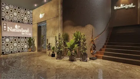 Adyen & Raptor embed payments for Asia Pacific SMBs