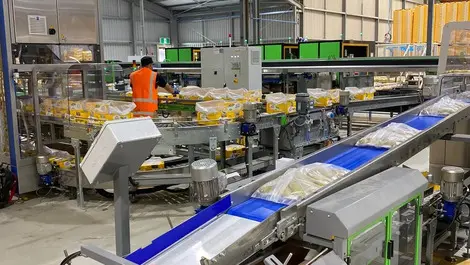 MAF Roda NZ automation grads flag careers amid retention pressure
