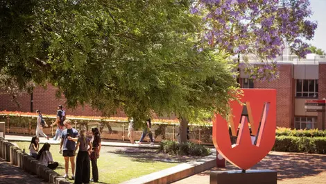 Western Sydney University rolls out Copilot to all staff